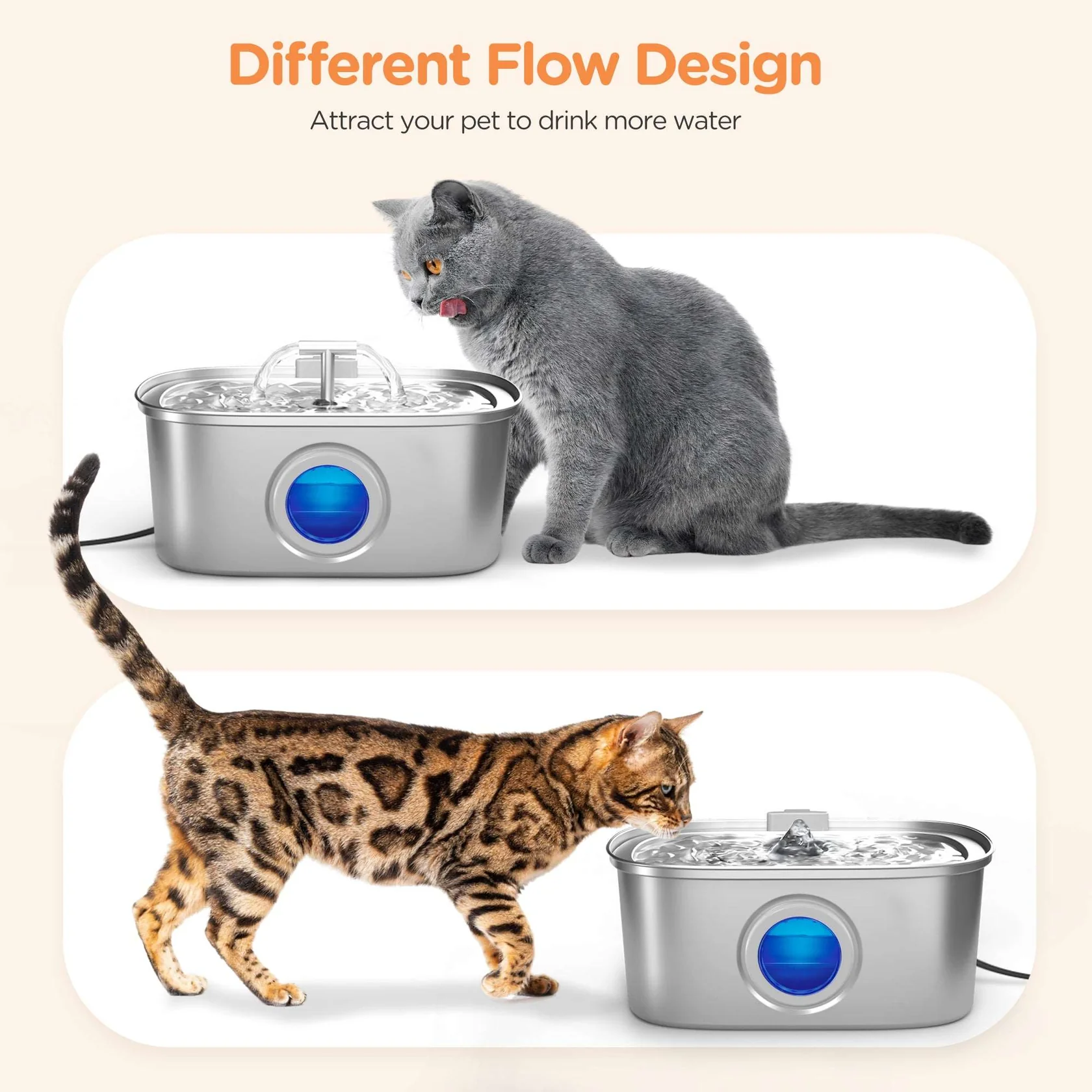 Smart Pet Feeder